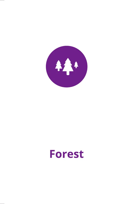 Open Minds environment card: Forest.